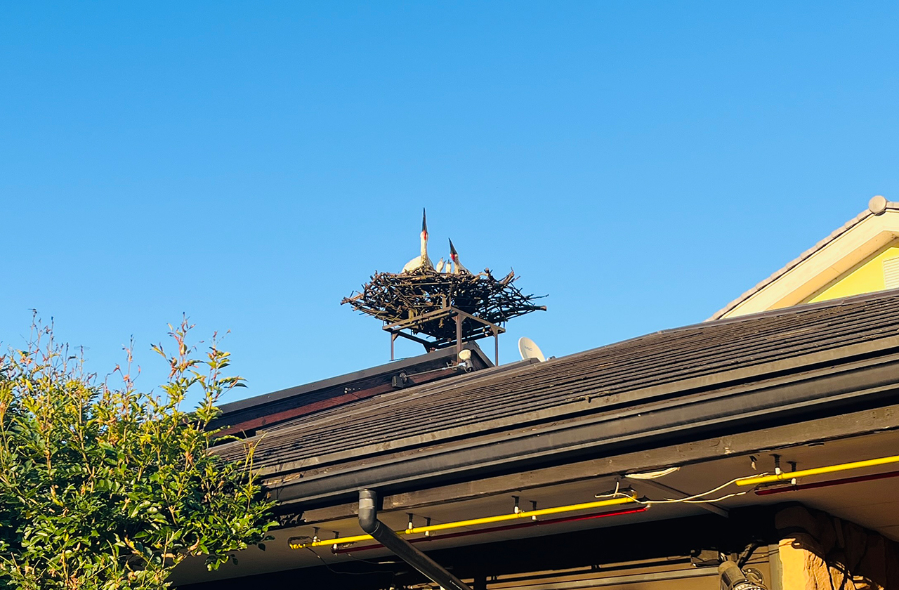 TEA ROOM AVIAN・TOT(アヴィアントット)屋根のコウノトリのオブジェ